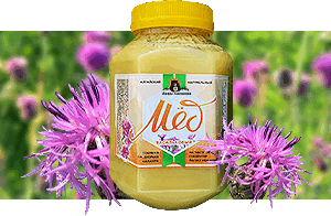 Васильковый мёд из Алтая — натуральный продукт с тонким вкусом