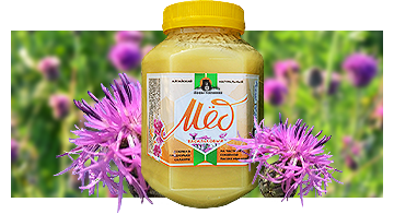 Васильковый мёд из Алтая — натуральный продукт с тонким вкусом