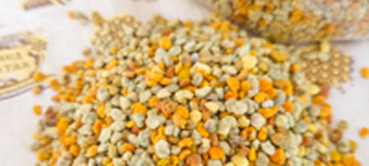 Цветочная пыльца из алтайской тайги – натуральный продукт пчеловодства